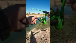 Canal fishing for Bass bankfishing bassfishing fishing fish bass sportfishing googansquad [upl. by Haldane]