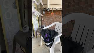 Taking Down Halloween Decorations Part 1 2024 [upl. by Normac]