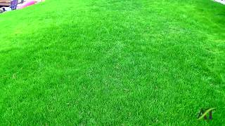 Seattle Lawn Tuneup With Soil Wetting Agent And Amendments [upl. by Madelena169]