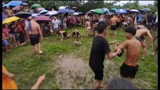 Agawang Biik kapag mahuli mo may panghanda ka sa fiesta Pinagbobong Tabaco City [upl. by Elmina]