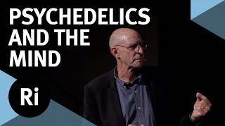 The Science of Psychedelics  with Michael Pollan [upl. by Hennie960]