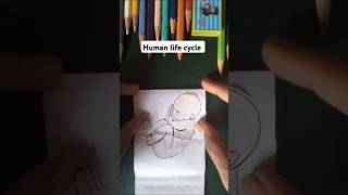 Human life cycle art shorts drawing [upl. by Nikolos]