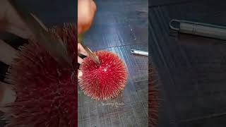 Rambutan or durian fruit buah buahan rambutan durian shorts [upl. by Lyon]