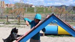 Circuit Agility al Parc Fluvial de Vilanova del Camí [upl. by Mapel]