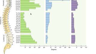 Overview of segmental movement of the spine white and panjabi graph [upl. by Kalindi862]