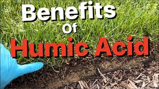 Benefits of Humic Acid  Lawn Update [upl. by Ait]