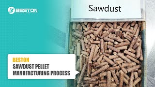 Sawdust Pellet Manufacturing Process  Sawdust Pellet Machine 13 TH sawdustpellet pelletmachine [upl. by Sucramd]