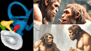 Neanderthals Produced Human Like Speech  Momentous Discovery [upl. by Llerreg796]