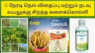 Council Active  Bayer Council Active Herbicide  Tamil  நெற்பயிருக்கு சிறந்த களைக்கொல்லி [upl. by Clovis]