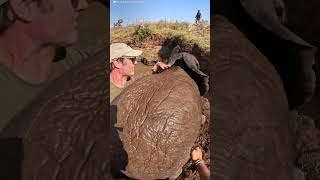 Baby Elephant And Mom Are Stuck In A Well Full Of Water  The Dodo [upl. by Nannie951]