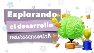 Explorando el Desarrollo Neurosensorial [upl. by Pachston525]