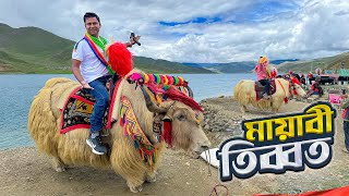 তিব্বতের পাহাড়ি জনপদের অপরূপ সৌন্দর্য  Yamdrok Lake  Kambala Pass  Tibet [upl. by Giwdul596]