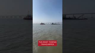 TUG BOAT TOWING TRANSHIPPER ⛴️🚢🚤 [upl. by Sices]