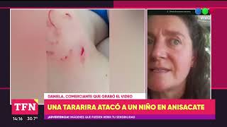 Una tararira atacó a un niño en el río de Anisacate [upl. by Minoru]