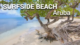 Tour of the SURFSIDE BEACH in Aruba [upl. by Satterlee]