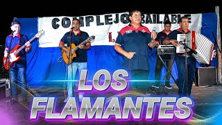 LOS FLAMANTES  1632024  COMPLEJO BAILABLE LA AMISTAD [upl. by Queenie]