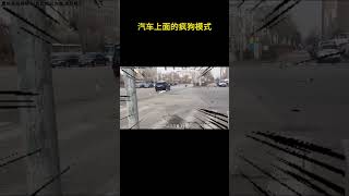 汽车上面的疯狗模式 疯狗模式 [upl. by Aremaj]