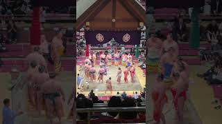 I went to see sumo wrestling in Japan [upl. by Irrok]