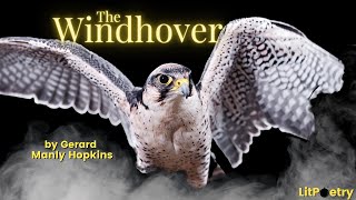 The Windhover by Gerard Manley Hopkins Poetry Analysis Video [upl. by Novej810]