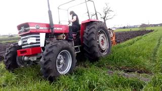 Massey Ferguson 155 [upl. by Amsaj]