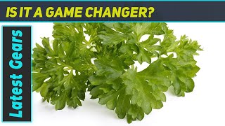 Grow Fresh Parsley Effortlessly at Home with Click and Grow Smart Garden [upl. by Janel729]