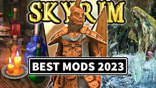 Best Mods You MISSED in 2023  SKYRIM SEAE Mods amp More Episode 42 [upl. by Teodorico]