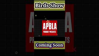 Game Changer Fly Fest 2024  Birds Show APBLA ytshorts birdshow globalbirdslovers [upl. by Fachanan]