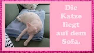 Deutsch lernen mit Katzen Möbel und Präpositionen [upl. by Lemrac719]