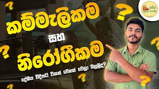 කම්මැලිකම සහ නිරෝගිකම laziness amp healthiness  Isira Ayurveda [upl. by Chevy7]