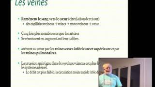 Elearning Plongée Niveau 4  Les vaisseaux sanguins [upl. by Nilram]