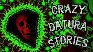 Insane Datura Stories [upl. by Ciredor]