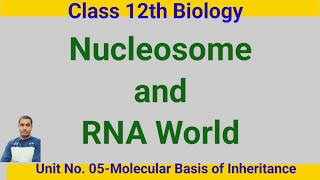 NucleosomeClass 12th Biologydrnyr755 [upl. by Narda]