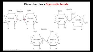 Saccharides OCR A ALevel Biology Revision Module 2 Biological Molecules [upl. by Nilyam]