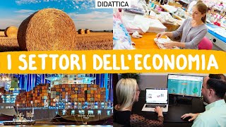 Didattica i SETTORI dellECONOMIA [upl. by Ogilvie85]