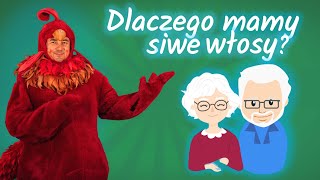 Dlaczego Babcia i Dziadek mają siwe włosy  Dzieci pytają Kogut Rubin odpowiada [upl. by Neerac]