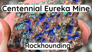 Rockhounding the Centennial Eureka Mine in the Rain [upl. by Weywadt]