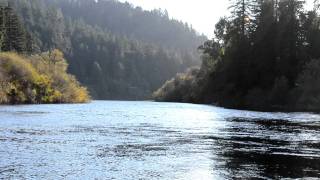 Russian River at Villa Grande Steelhead Season Begins [upl. by Braasch]