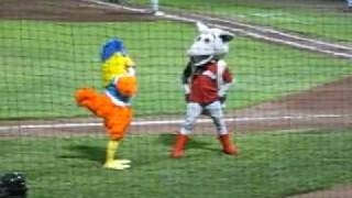 Amarillo Dillas Mascot Dance Off [upl. by Gayner177]