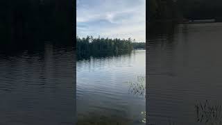 Maine Fishing newcountry music newcountryartist viralvideo youtubeshorts fishing mainemusic [upl. by Aroon344]