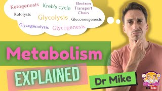 Metabolism Overview [upl. by Osber]