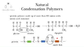 Natural Condensation Polymers Proteins and Carbohydrates GCSE Chemistry [upl. by Brigitta]