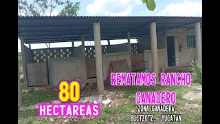 REMATAMOS 80 HECTAREAS EN BUCTZOTZ YUCATAN [upl. by Itoc]