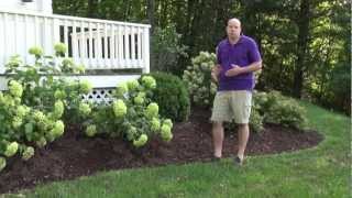 Front Yard Landscape Design Ideas  Trumbull CT Landscape Designer [upl. by Atinar336]