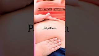 Obstetrical ExaminationPregnancy check upfour grips savit savitnursinglectures viral [upl. by Hoag]