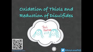 334 BCH3023 Oxidation of Thiols and Reduction of Disulfides [upl. by Annas]