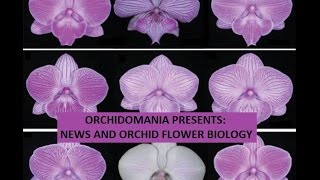 Orchidomania Presents News and Orchid Flower Biology [upl. by Sorodoeht]