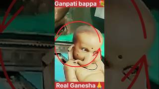 Real Ganesha bhagwan🙏💐 funny motivation comedy motivational reels ganpatibappamaurya youtube [upl. by Tavi959]