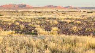 Survol du désert du Namib en ballon [upl. by Owen792]