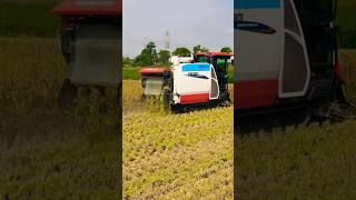 kubota DR120 harvester machines 😀😀 shorts kubota harvester [upl. by Ardried]