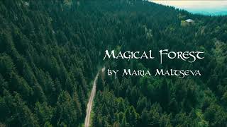 Magical Forest  Maria Maltseva  Debut Album quotFrom Heart to Heartquot [upl. by Nosac41]